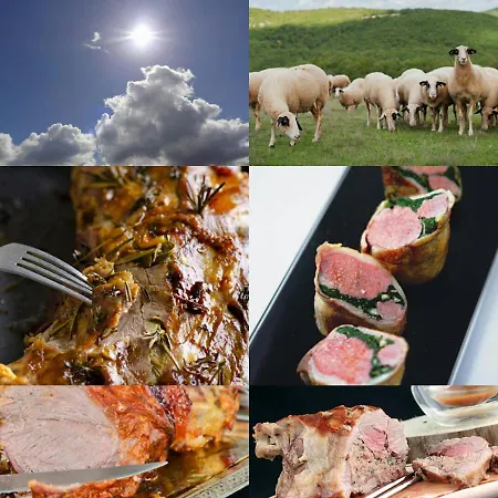 Lavergne Bed & Dinner