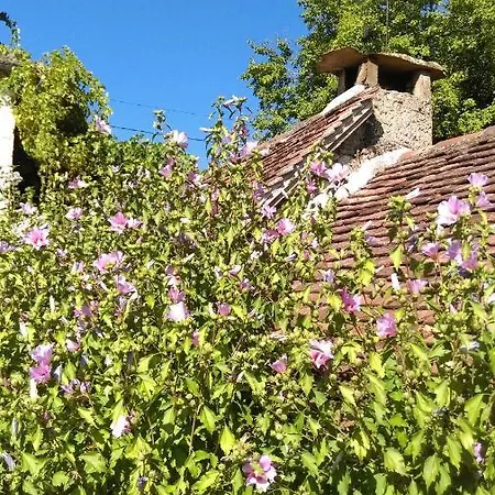 Bed & Breakfast Lavergne Bed & Dinner *